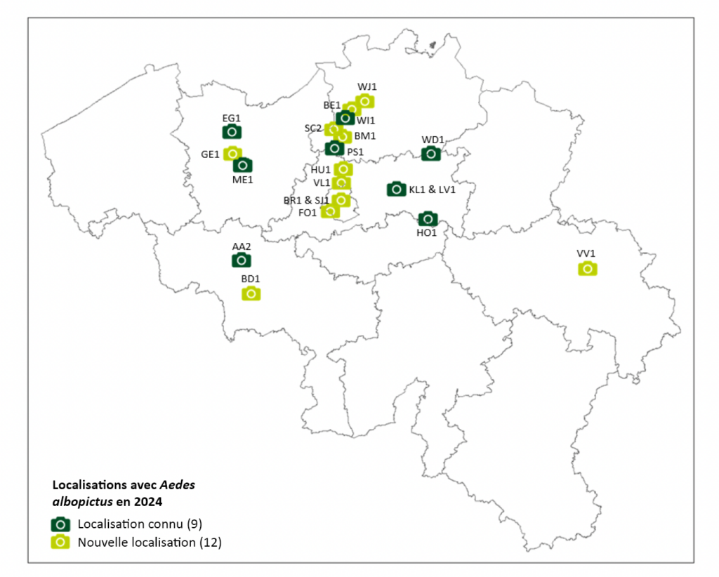 Locaties Van Meldingen Van Tijgermuggen Door Burgers Via Muggensurveillance In België In 2024 Fr