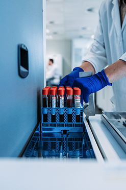 Chikungunya Kliniek & Diagnostiek