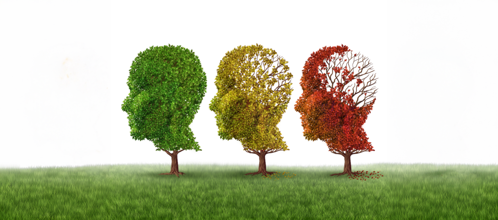 Ziekte Van Alzheimer Pathogenese 2