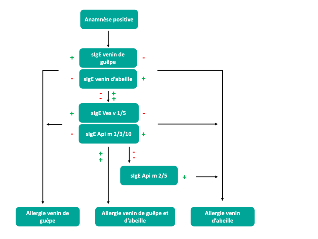 Allergy Flowchart Hymenoptera Fr